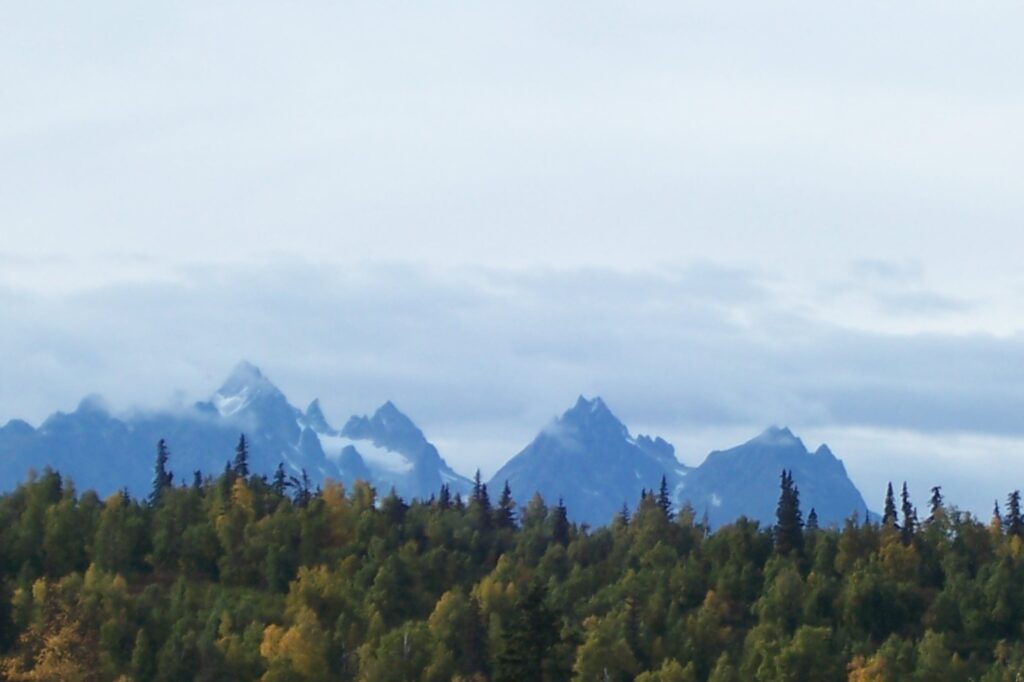 The Lower Alaska Mountains