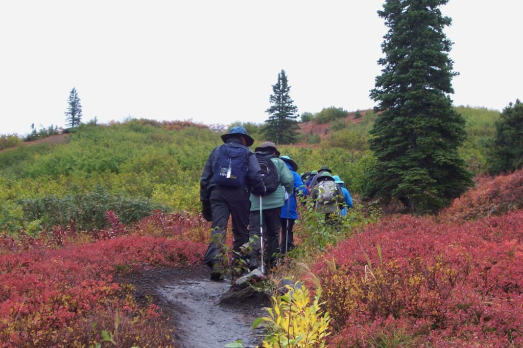 A cloudy day hiking and a muddy path.