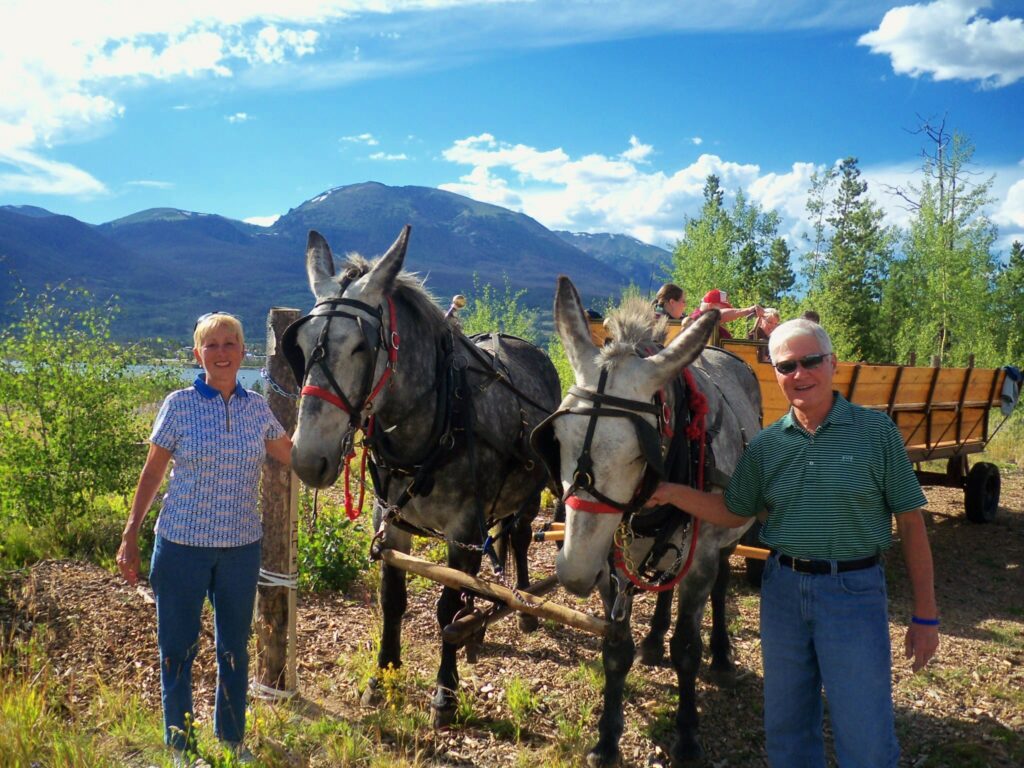 Bonnie & Belle (that's the mules) at Two Below Zero Chuckwagon Dinner.