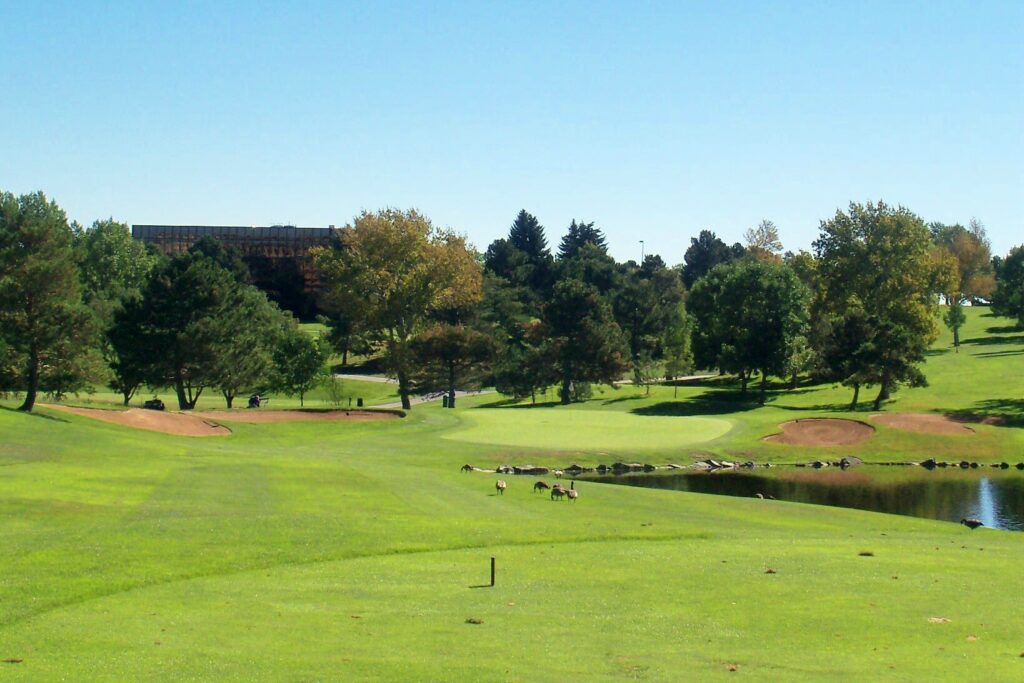 No. 3 - a par-3- Beware of GEESE!