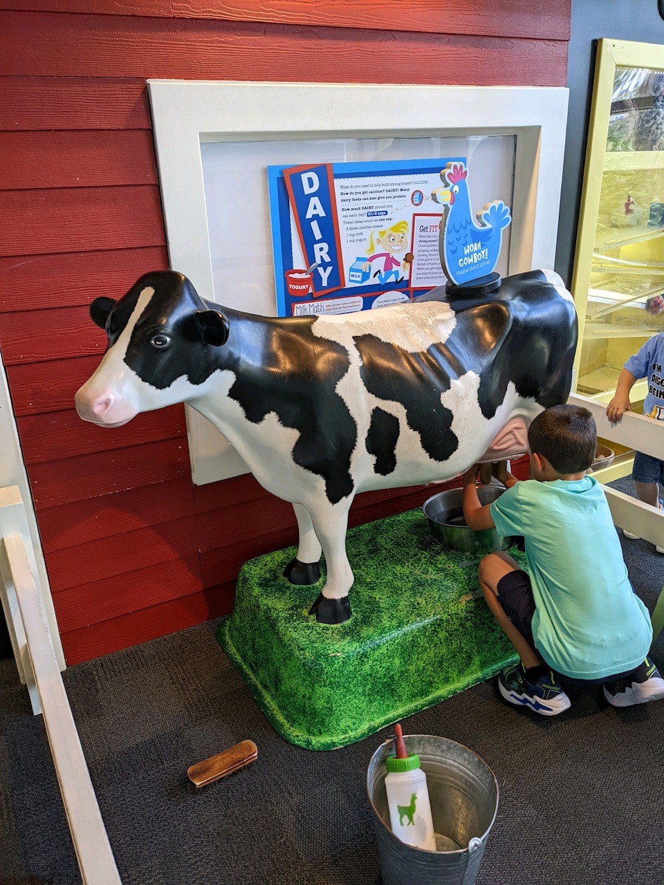 Keaton milks a cow.