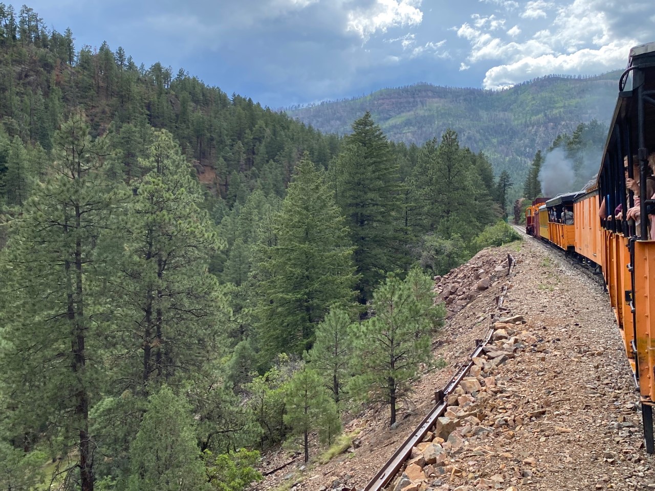 The train takes us through forests as it approaches Durango.