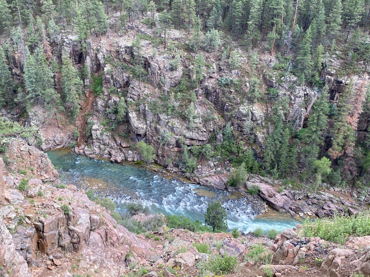 Looking down into the canyon on the return train ride from Silverton