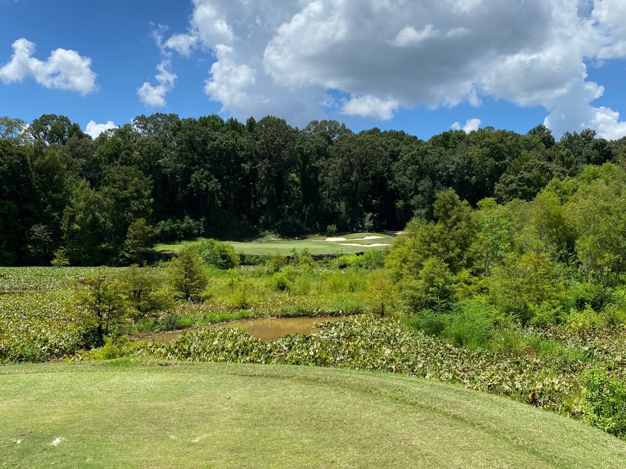 The Judge No. 12 a Par-3 with a lot of hazards.