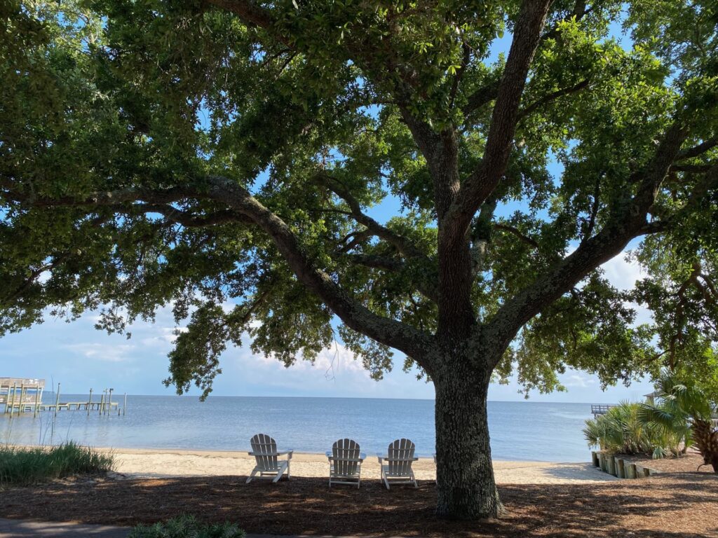 Relax on the shores of Mobile Bay under the shade of an Old Oak Tree.