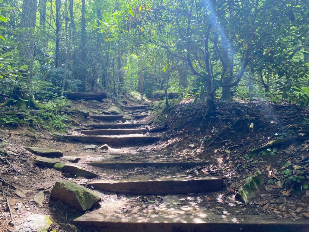 The start of lookout trail.