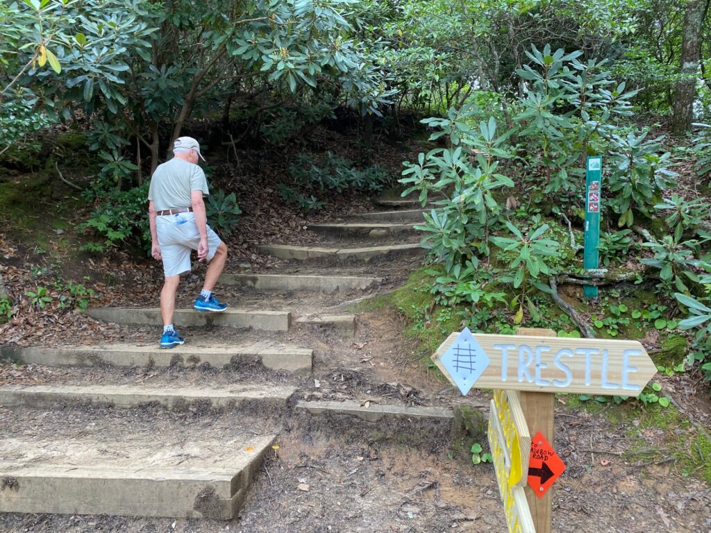 12:52PM These are some sturdy steps built into the side of the mountain.