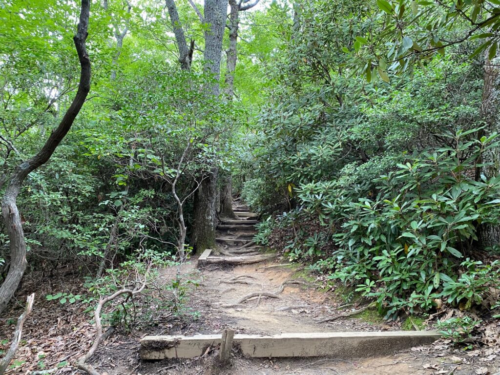 12:54PM More winding steps take us up the hill.