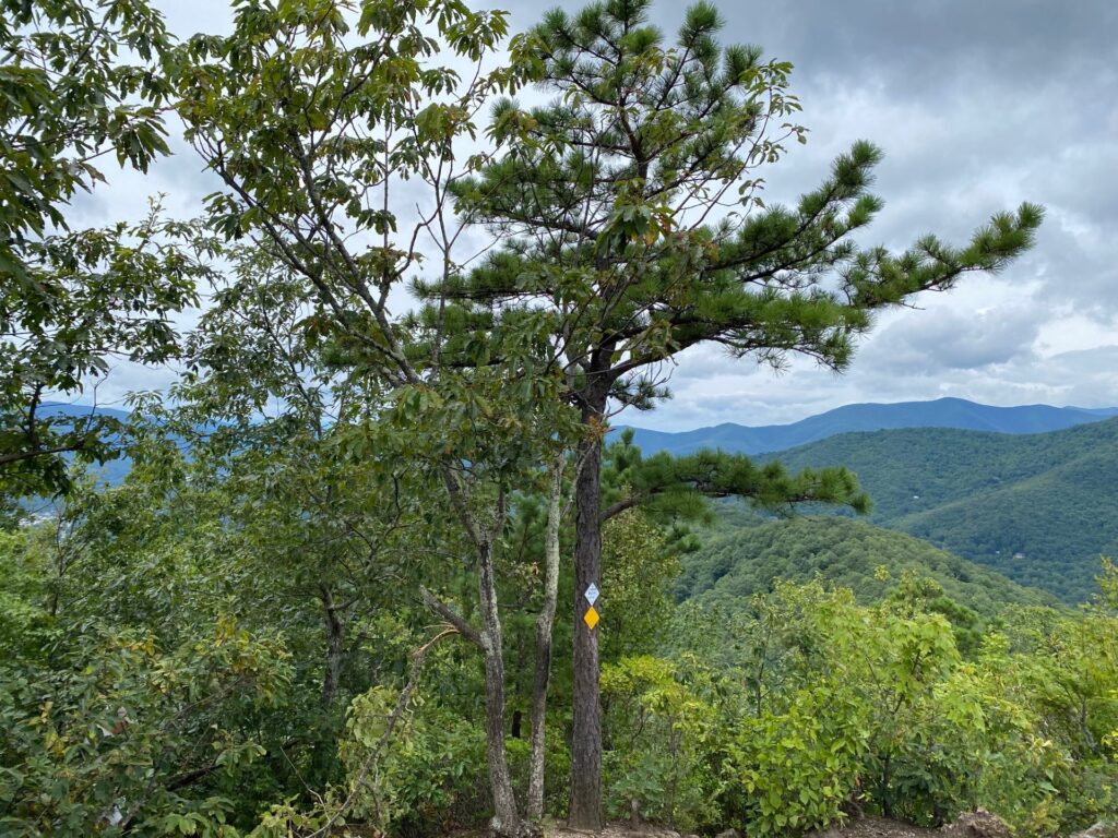 View as we start down the craggy outcropping.