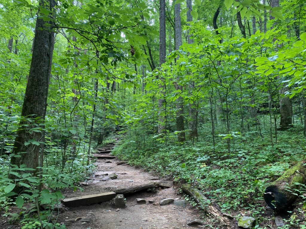 12:34 PM the path continues to slowly wind up the mountain.