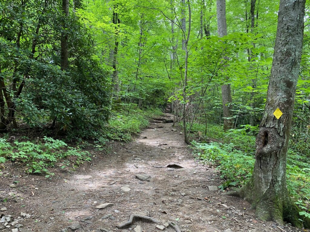 12:37PM Yellow Marker is designation for Lookout Trail.