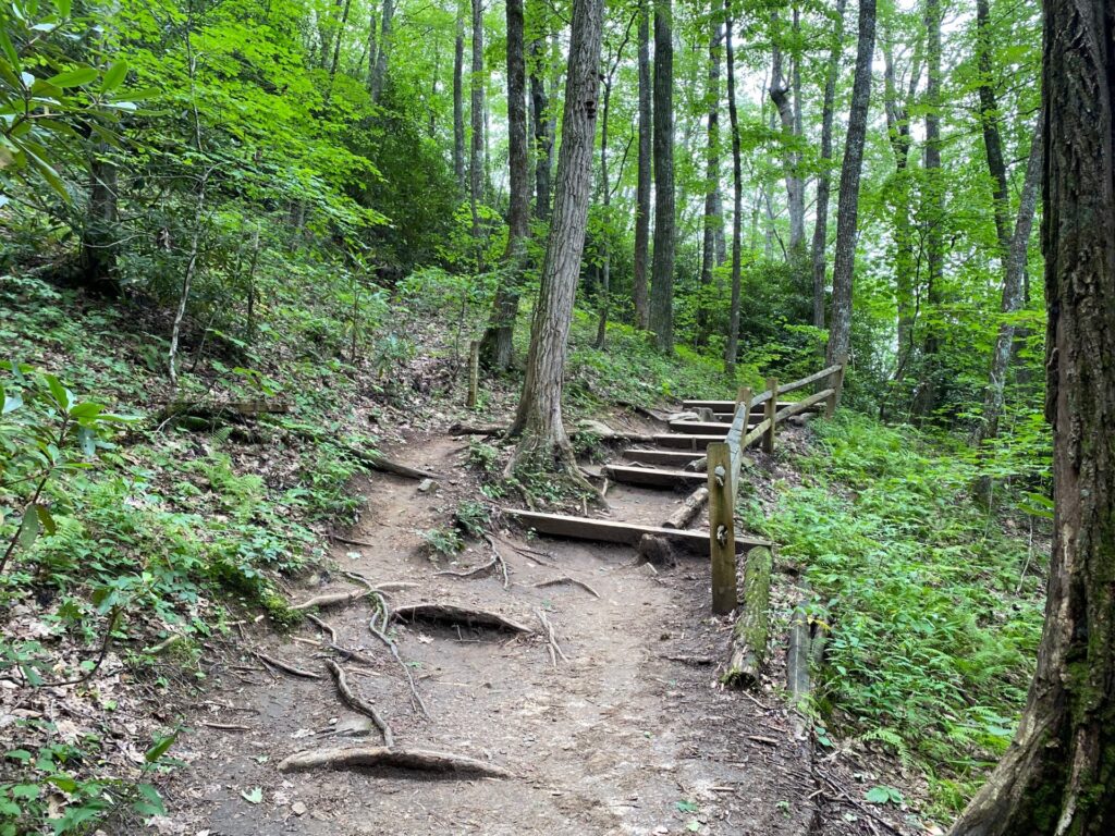 12:41PM Steps help make an easier climb along portions of the hike.