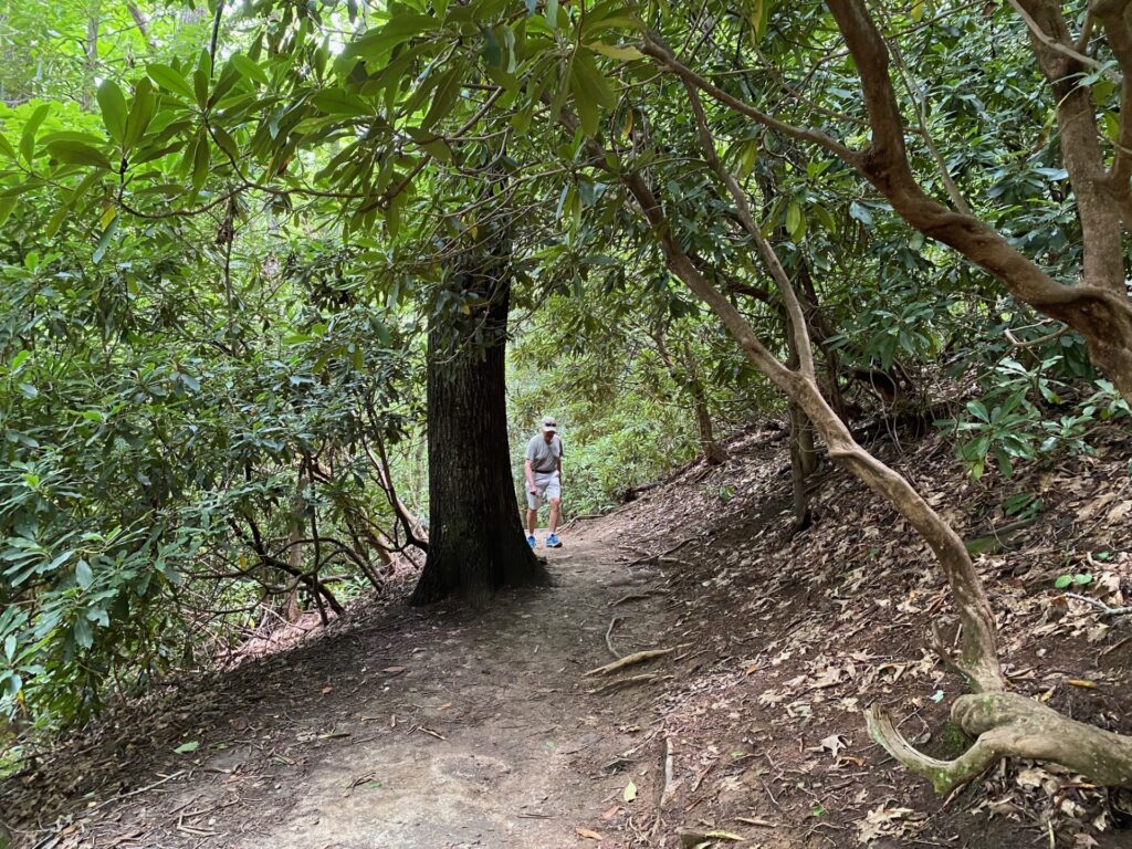 12:41PM Richard hikes up the path to the set of steps in the next picture.