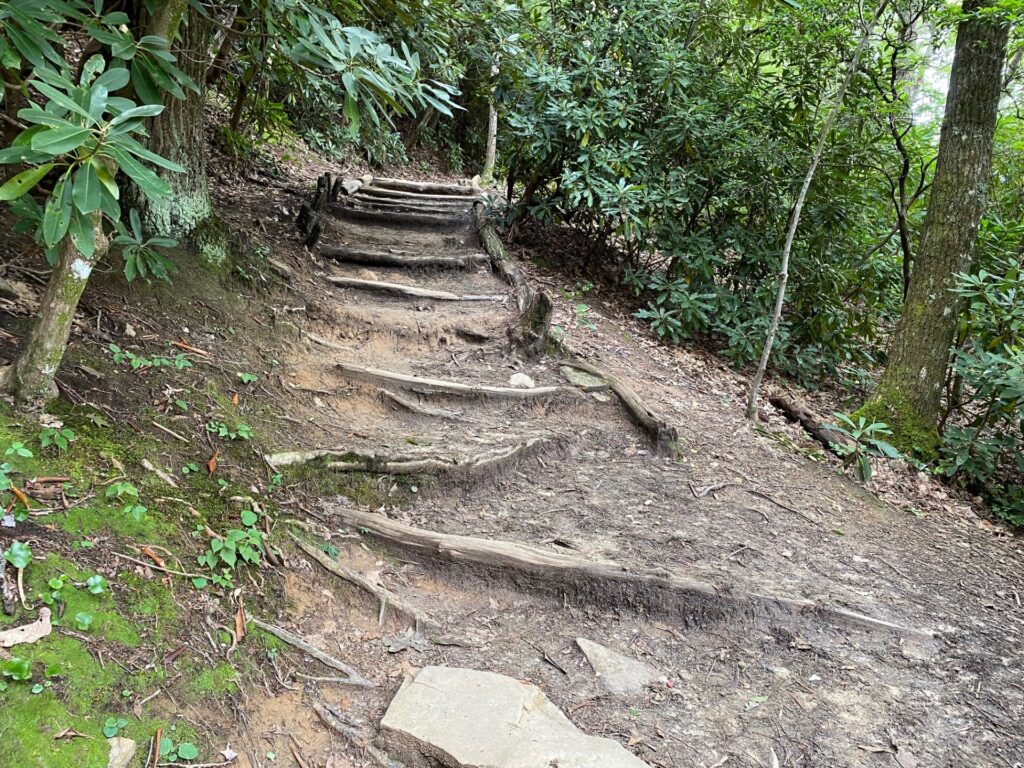 12:47PM More rustic steps up the hill.