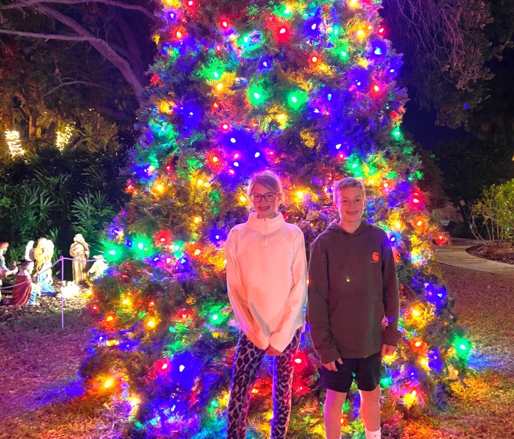 Bright lights of this tall Christmas Tree by the Gazebo in Safety Harbor.