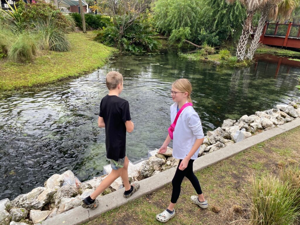 Louis & Lucy feed the fish in Ulele's Spring on Tampa Riverwalk.