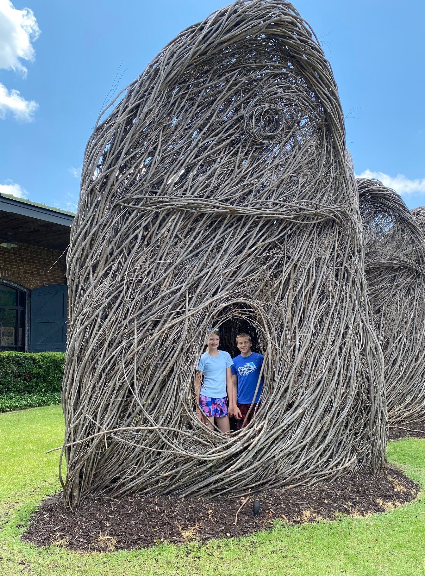 These structures are called "Making Birds Proud" by Patrick Dougherty.