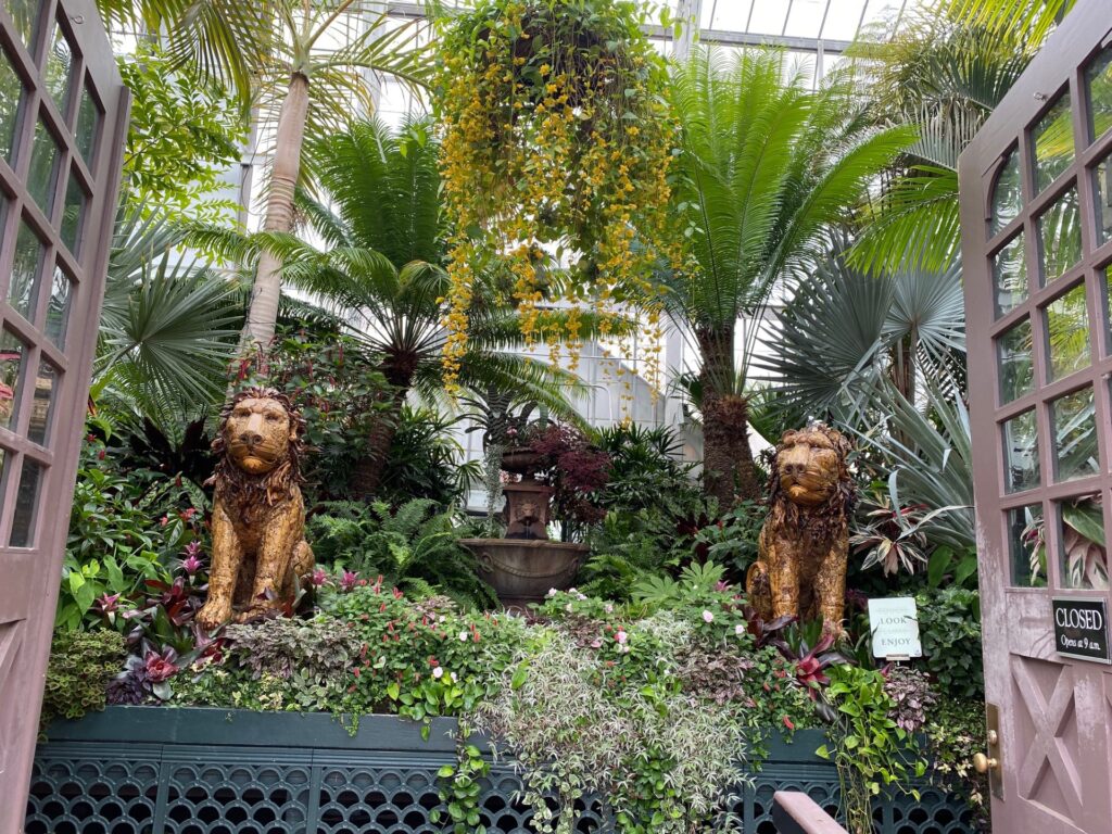 Lions add an extra element to the Gardens.