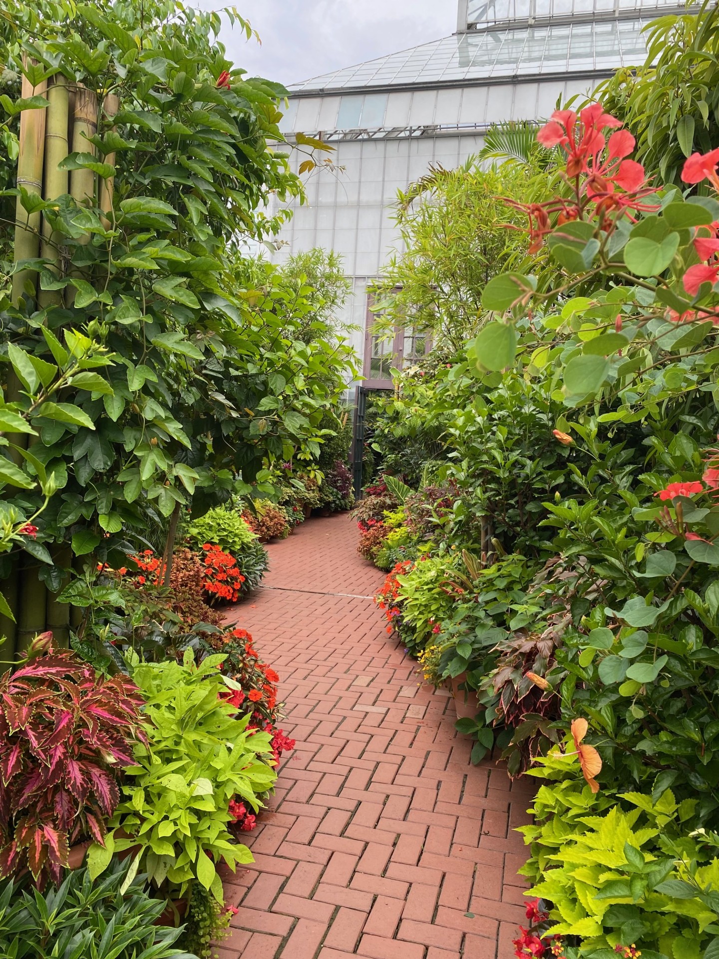 Walk down the red brick path among the foliage.