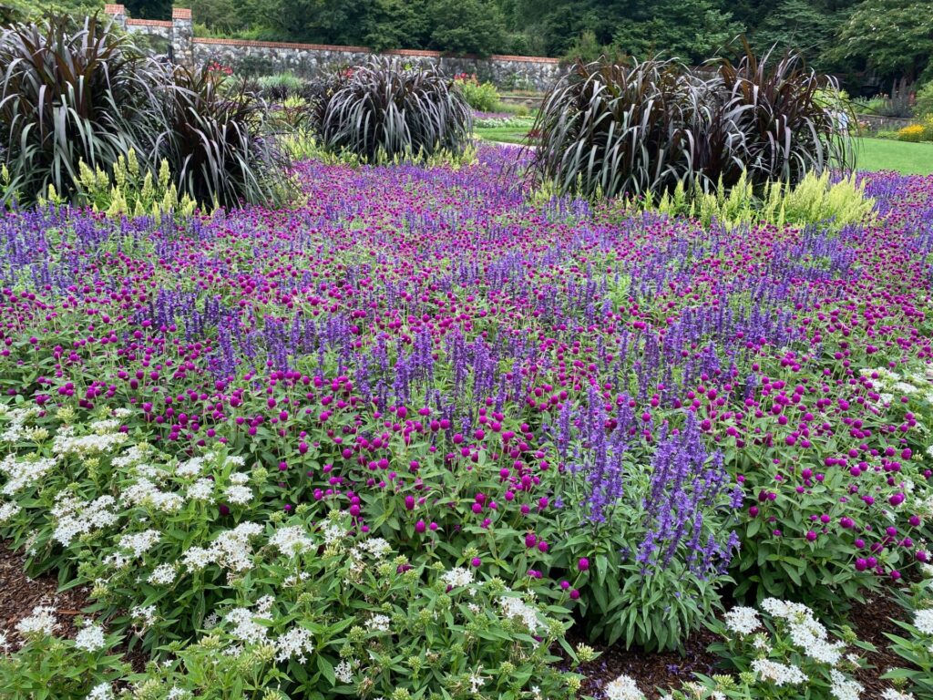 Flowers are blooming in the Walled Garden