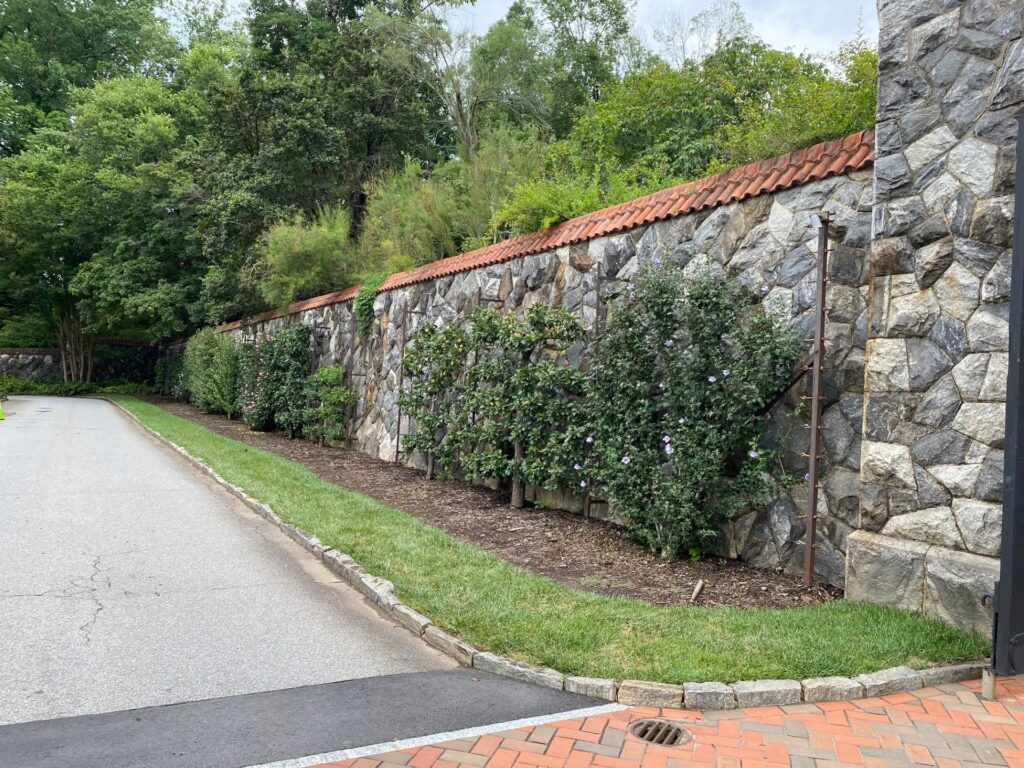 The stone wall of the Wall Garden.